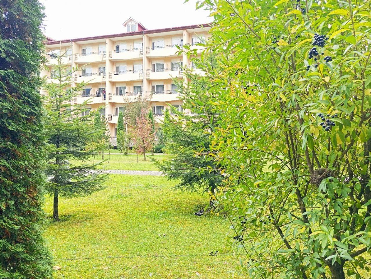 Отель Cанаторий Горная Тиса Квасы Экстерьер фото